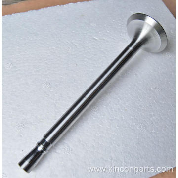 Engine Valves 4115TA